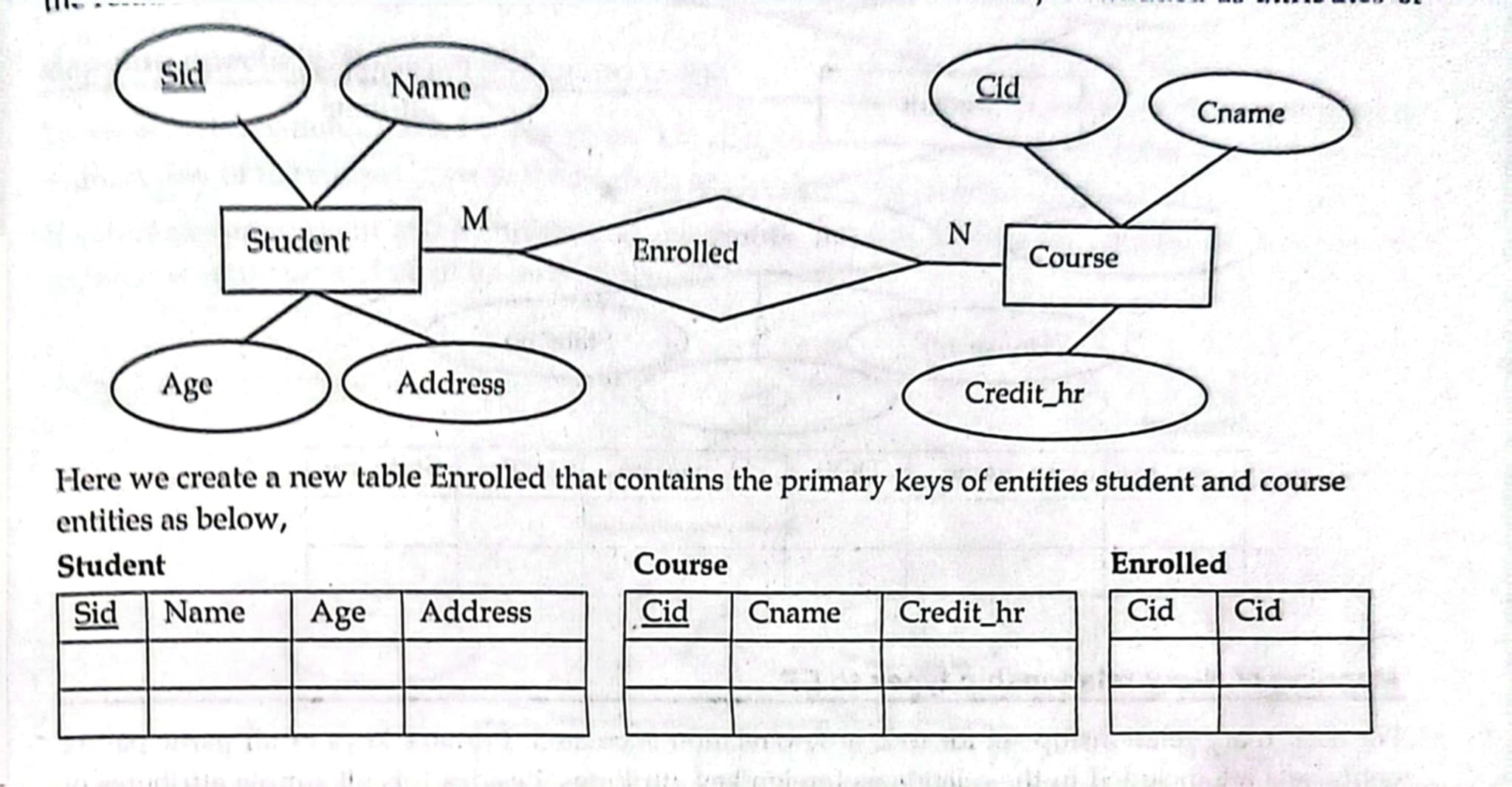 N:M Relation Example